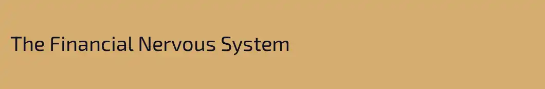 The Financial Nervous System 